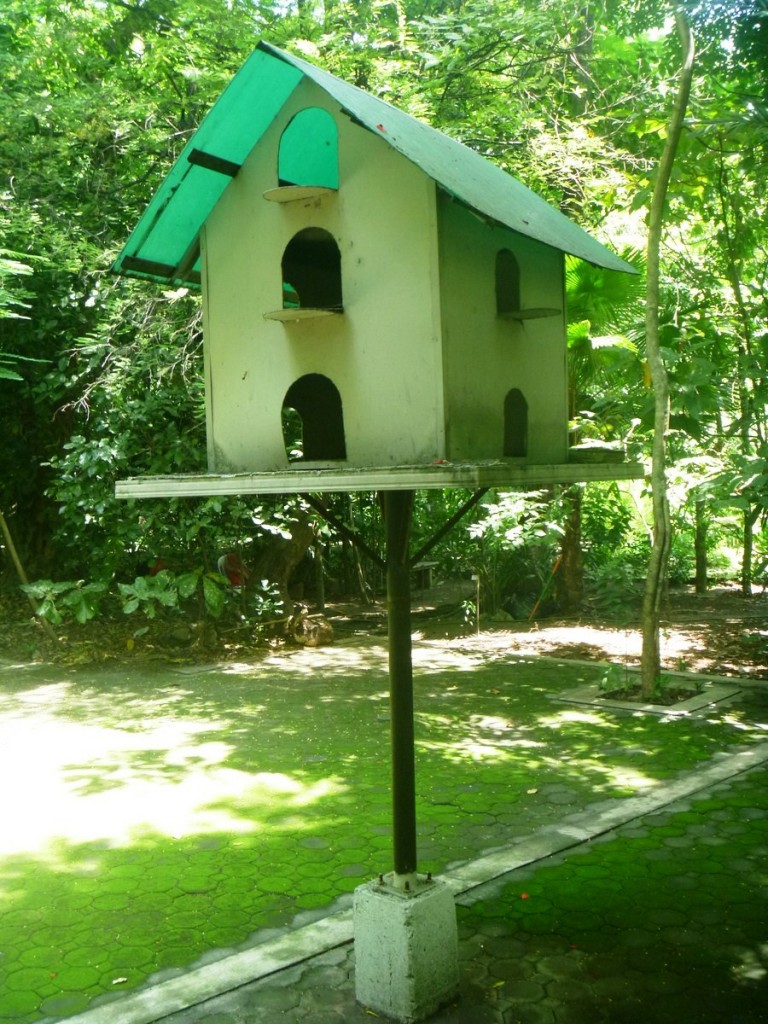 A man-made home for the birds